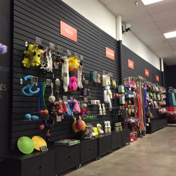 Zoom Room Dog Training - Pet Training Near Me - Torrance, California Zoom Room Dog Training - Pet Training Near Me - Torrance, California