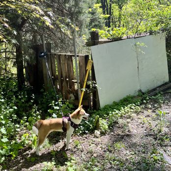 PA Surveyor - Searching for corners with Aspen. - Land Surveying Near Me