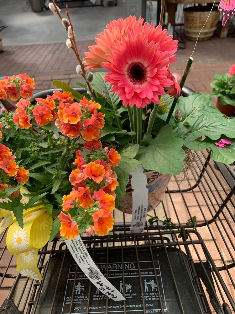 BAYPORT FLOWER HOUSES Updated August 2024 53 Photos & 37 Reviews 940 Montauk Hwy, Bayport