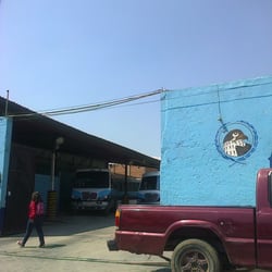 Autobuses Halcón