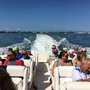 Photo of Sanibel Thriller