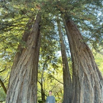 Axr Napa Valley - Tasting a white - Wineries Near Me - Saint Helena, California