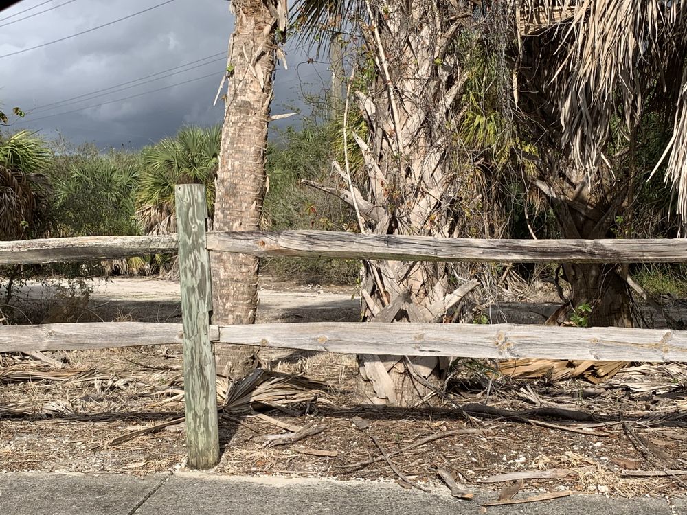 YAMATO SCRUB NATURAL AREA 79 Photos 701 Clint Moore Rd, Boca Raton