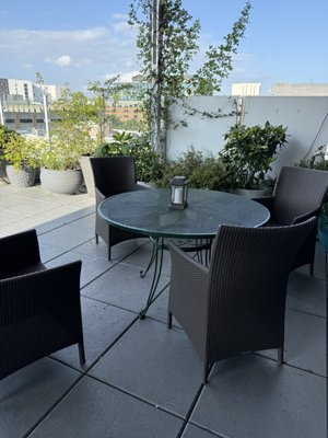 Botanical Lounge by null