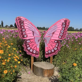 Topaz Farm - Hello Dolly - Farmers Market Near Me - Portland, Oregon
