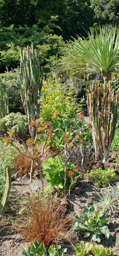 BOTANISCHER GARTEN AUGSBURG Updated December 2024 384 Photos & 29
