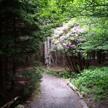 Roan Mountain State Park - Parks Near Me - Roan Mountain, Tennessee