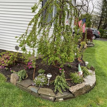 Cherry Creek Landscaping - Willow tree corner - Landscaping Near Me