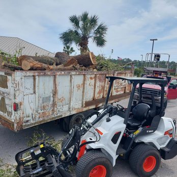 Panhandle Bucket Work - Tree Services Near Me - Rosemary Beach, Florida Panhandle Bucket Work - Tree Services Near Me - Rosemary Beach, Florida