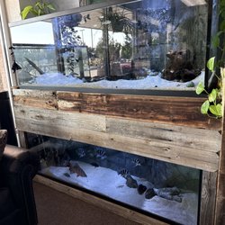 Sunken Ship Aquatics