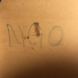 Domino's Pizza - The NGO inside the pizza box.