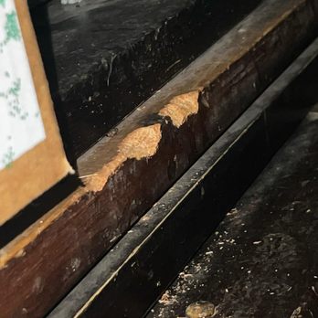 Extra Space Storage - Rat damages - Self Storage Near Me - Moreno Valley, California Extra Space Storage - Rat damages - Self Storage Near Me - Moreno Valley, California
