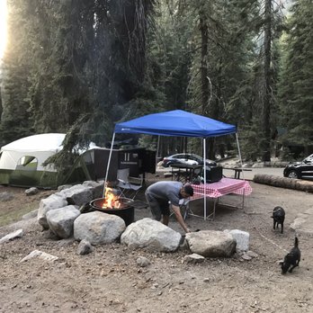 Lodgepole Campground - The back view of our campsite, our tent is a little down the hill. There's another tent area to the right. - Campgrounds Near Me - Three Rivers, California Lodgepole Campground - The back view of our campsite, our tent is a little down the hill. There's another tent area to the right. - Campgrounds Near Me - Three Rivers, California