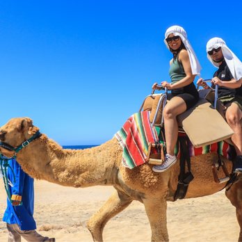 Cabo Adventures - So much fun! - Boat Tours Near Me - Cabo San Lucas, BCS Cabo Adventures - So much fun! - Boat Tours Near Me - Cabo San Lucas, BCS