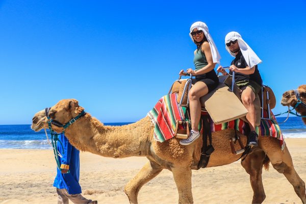 Cabo Adventures by null