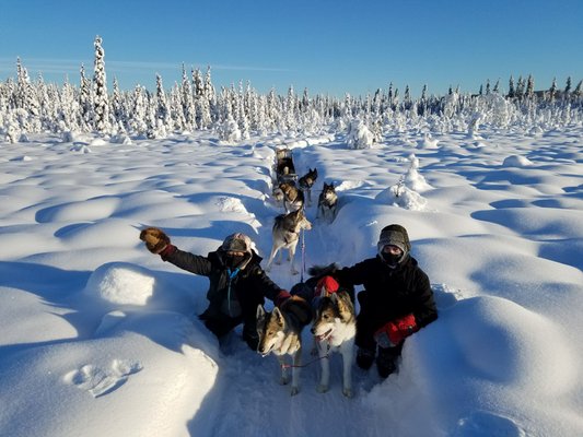 Alaska Homestead Adventures by null