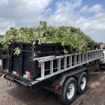 Katy Stone And Gravel - Chop the top branches to save $$$. - Building Supplies Near Me - Katy, Texas