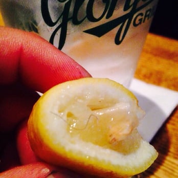 Glory Days Grill - Disgusting hair on lemon wedge in water. - Sports Bars Near Me - Fairfax, Virginia Glory Days Grill - Disgusting hair on lemon wedge in water. - Sports Bars Near Me - Fairfax, Virginia