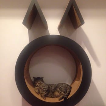Koneko - Their logo with a sleeping kitty~ - Breakfast & Brunch Near Me - New York, New York Koneko - Their logo with a sleeping kitty~ - Breakfast & Brunch Near Me - New York, New York