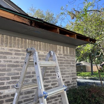 Top Notch Tree & Remodeling Services - General Contractors Near Me Top Notch Tree & Remodeling Services - General Contractors Near Me