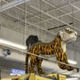 Photo of Beer Zoo