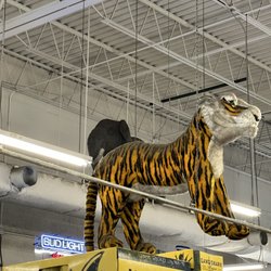 Beer Zoo - Tiger
