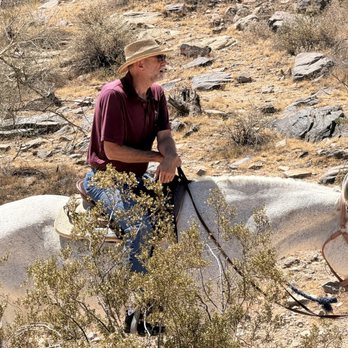 Ponderosa Stables - Horseback Riding Near Me - Phoenix, Arizona