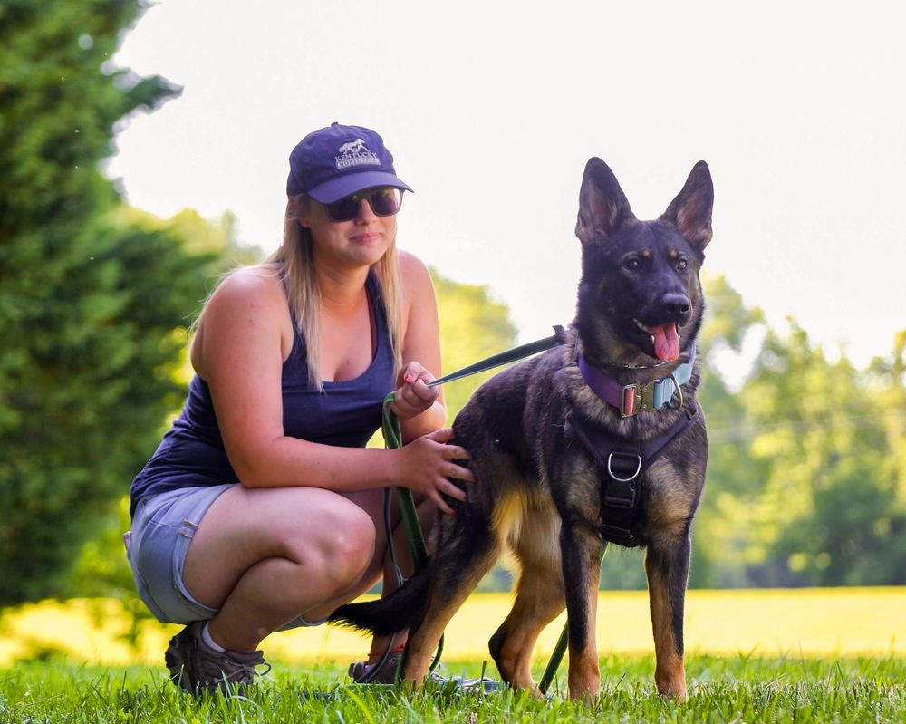 Sit ‘n Stay Training - pet boarding facility in Severn, MD