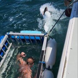 Bounty Hunter Charters