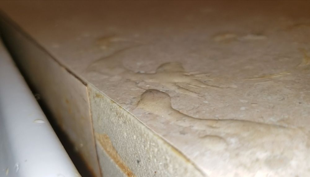 Bieck Management - property management company in Milwaukee, WI