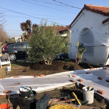 Moon Valley Nurseries - Nurseries & Gardening Near Me - Gilroy, California