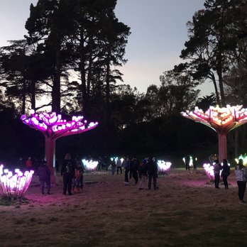 ENTWINED LIGHTED FOREST - Updated February 2026 - 236 Photos & 33