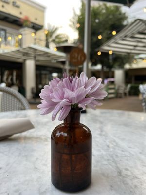 Flower Child by null