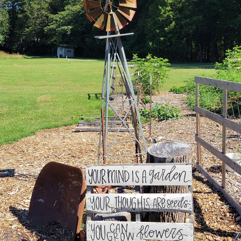 Coop and Creek - Attraction Farms Near Me - High Point, North Carolina