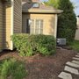 Photo of 2 Brothers Tree Service