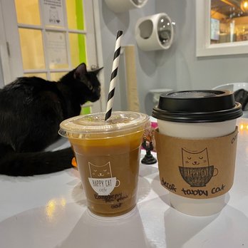 Happy Cat Cafe - Tabby cat and raspberry paw print oatmilk lattes - Coffee & Tea Near Me - Grand Rapids, Michigan