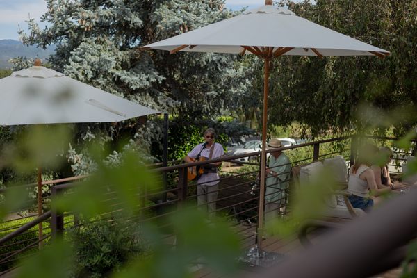 Weisinger Family Winery by null