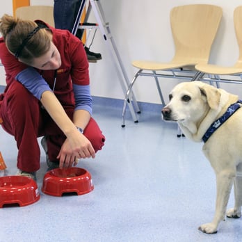 SmartVet - Veterinarians Near Me - Hamburg, HH SmartVet - Veterinarians Near Me - Hamburg, HH