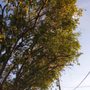 Photo of Geterdone Tree Service And Landscaping