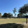 Collins Park
