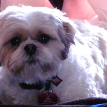 PetSmart - Pet Stores Near Me - Anchorage, Alaska PetSmart - Pet Stores Near Me - Anchorage, Alaska