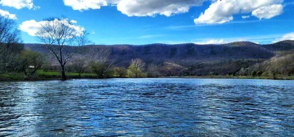 Downriver Canoe Company by null