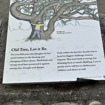 Deception Pass State Park - On the interpretive trail - Community Service/Non-Profit Near Me - Oak Harbor, Washington