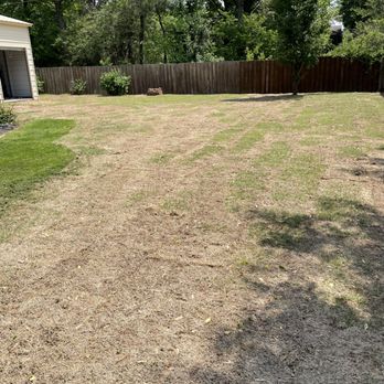 Sod Store - Nurseries & Gardening Near Me - Springdale, Arkansas Sod Store - Nurseries & Gardening Near Me - Springdale, Arkansas