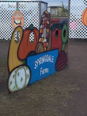 Springdale Farm Market by null