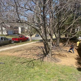 Bluegrass Landscaping & Tree Service - Tree Services Near Me Bluegrass Landscaping & Tree Service - Tree Services Near Me