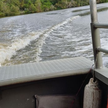 Ultimate Swamp Adventures - Tours Near Me - Westwego, Louisiana Ultimate Swamp Adventures - Tours Near Me - Westwego, Louisiana