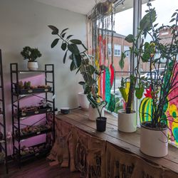 Muddy Roots Collective