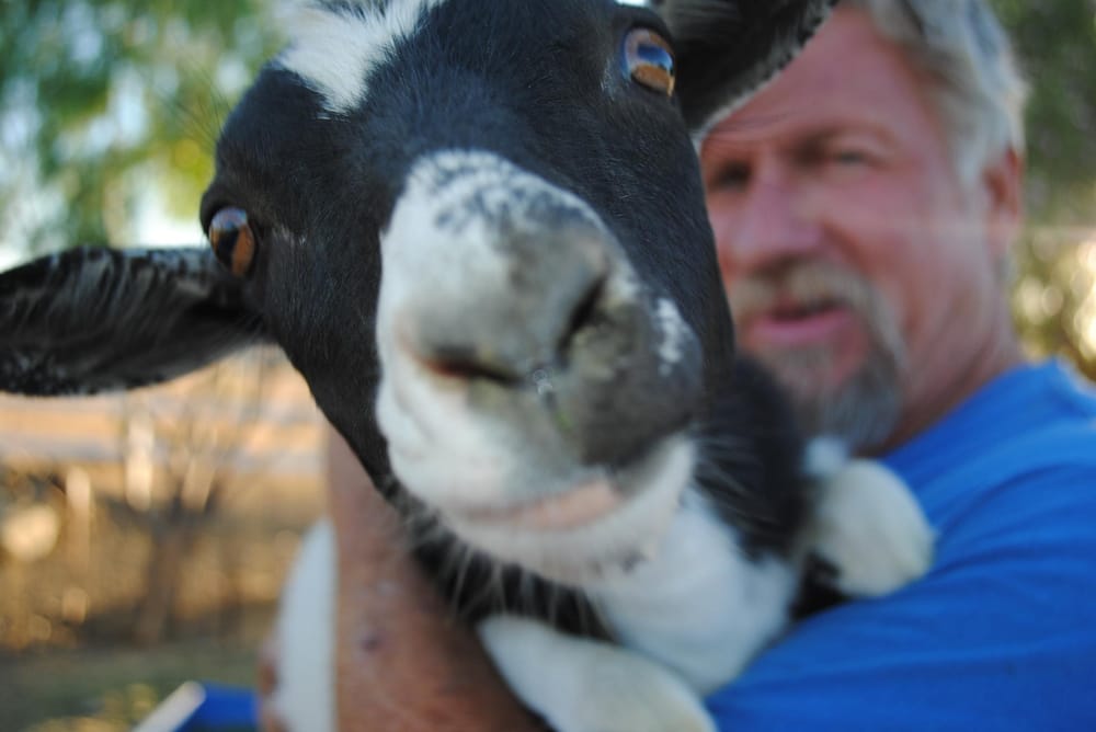 Little Valley Learning Adventure - childcare center in Lake Elsinore, CA