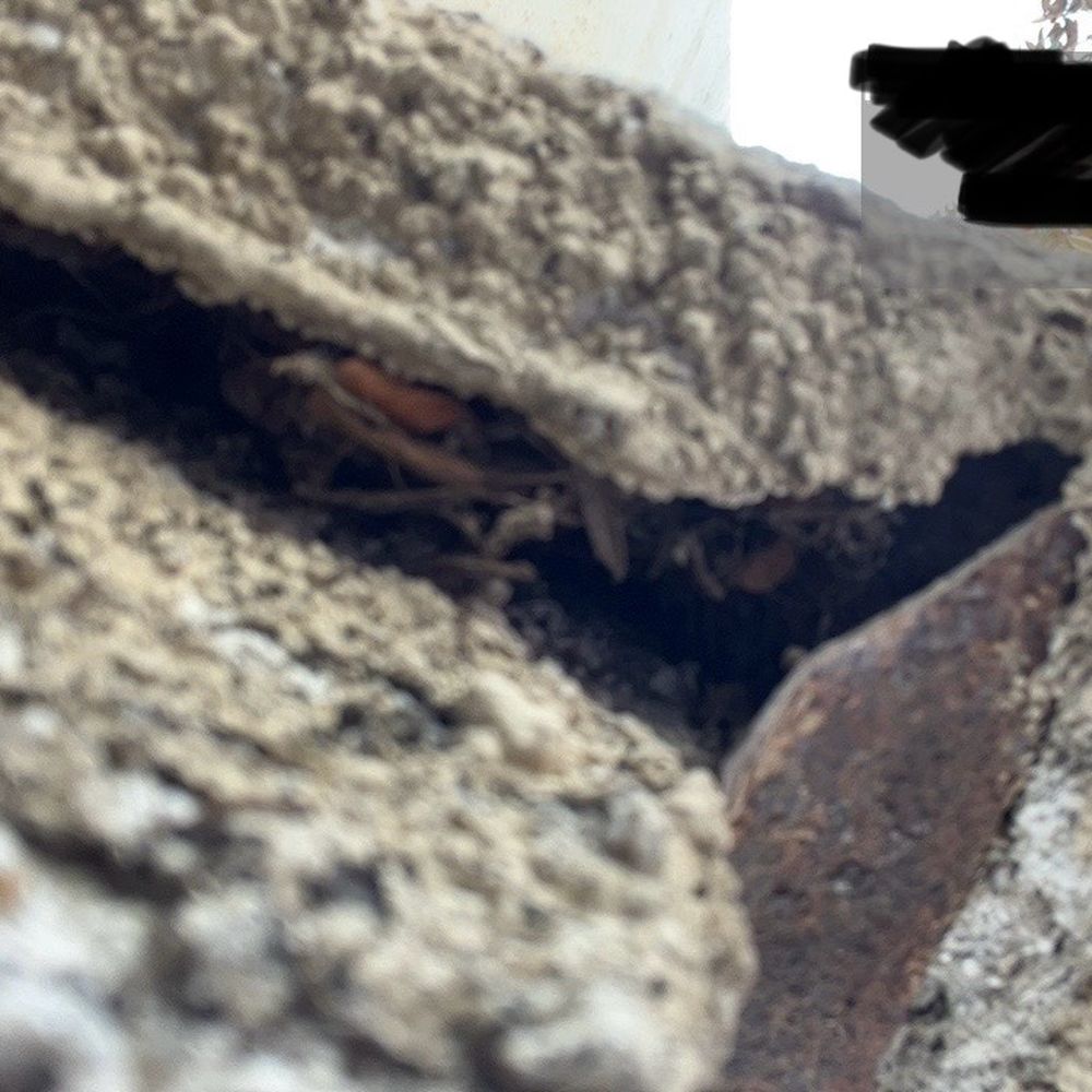 360 Rodent Control - stucco exterior hole that was never sealed discovered by another vendor - Pest Control Near Me 360 Rodent Control - stucco exterior hole that was never sealed discovered by another vendor - Pest Control Near Me